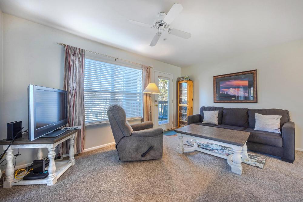 One-Bedroom Apartment interior